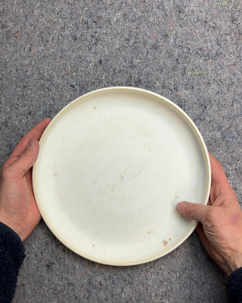 Google Chrome Logo Frisbee