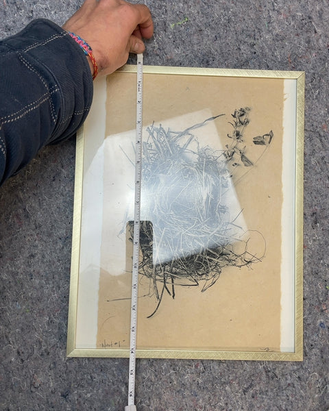 Framed Nest Drawing, 10x14"