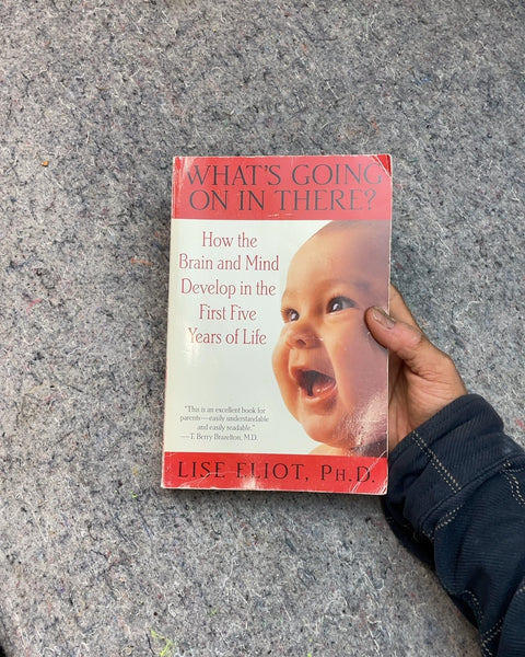 What's Going On In There? How the Brain and Mind Develop in the First Five Years of Life by Lise Eliot, Ph.D.