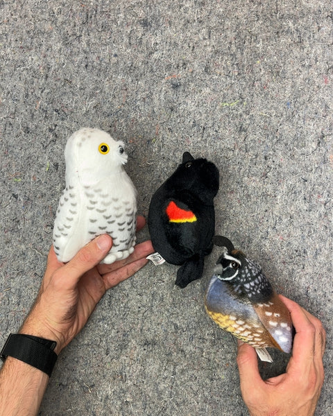 Wild Republic Audubon Birds That Sing When You Press Them