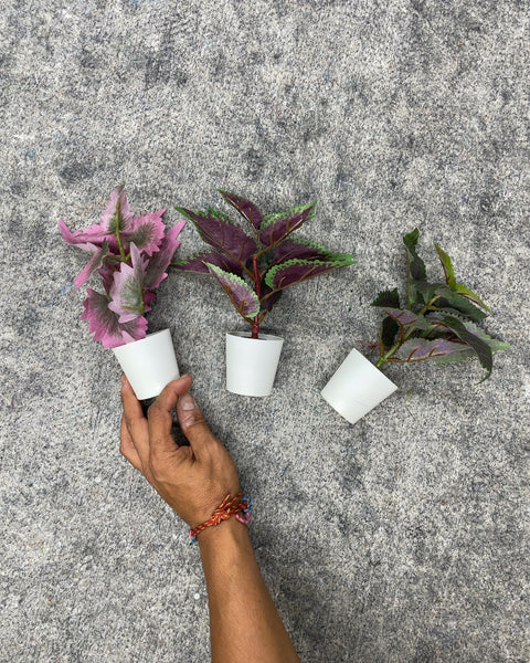 Mini Artificial Potted Plants, Set of 3