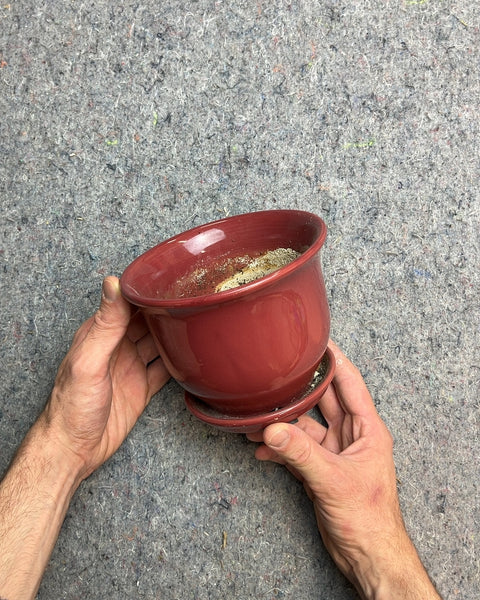 Red Ceramic Planter with Saucer