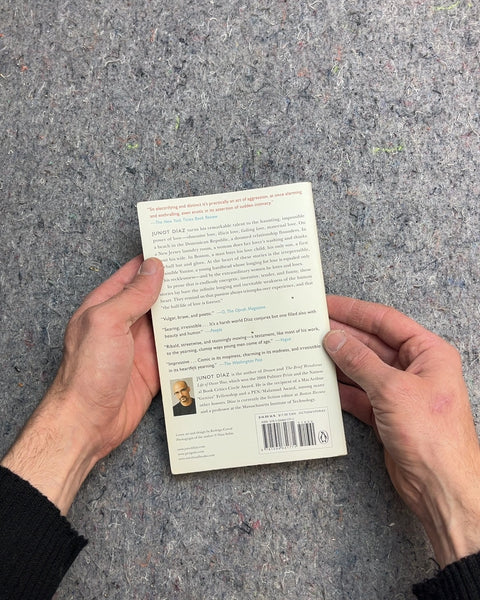 This Is How You Lose Her by Junot Díaz