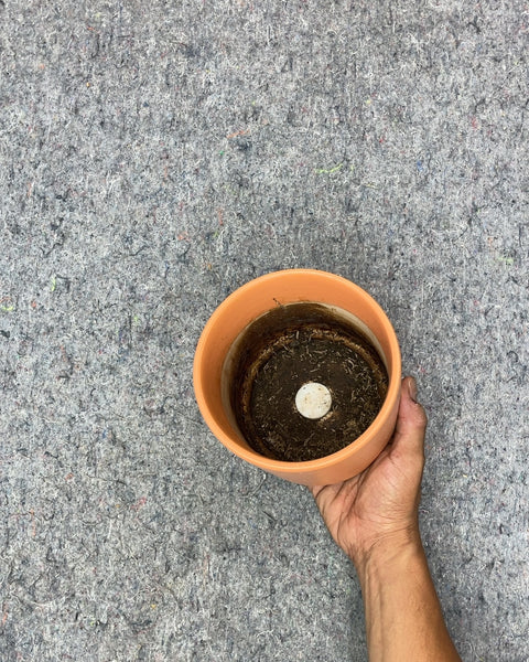 Orange Ceramic Planter Pot, 5x5"