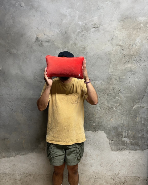 This is a Horrible Idea Pillow
