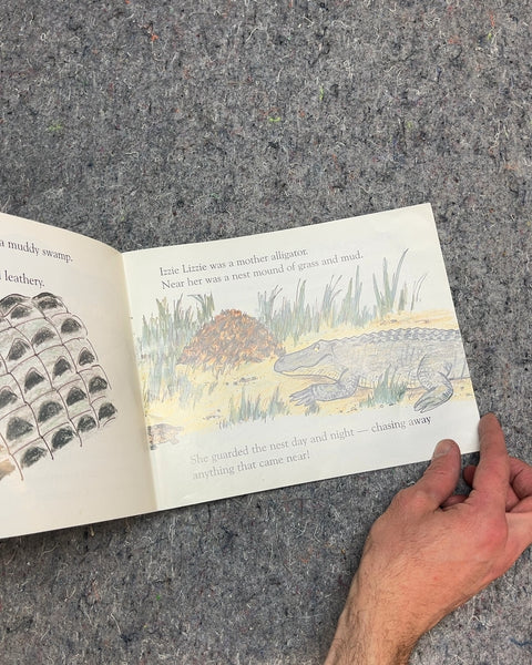 Izzie Lizzie Alligator by Suzanne Tate