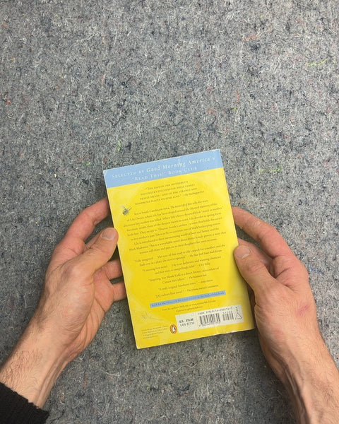 The Secret Life of Bees by Sue Monk Kidd
