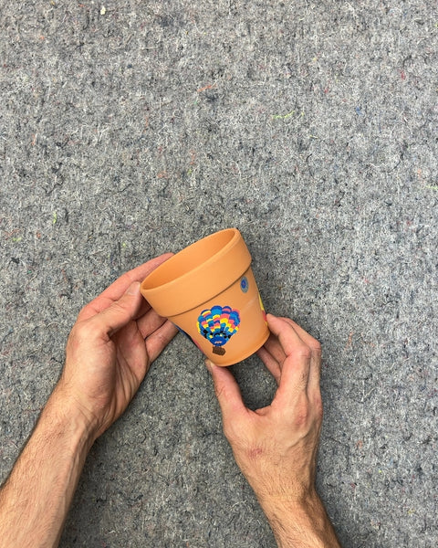 Terracotta Hand Painted Plant Pot, 4"