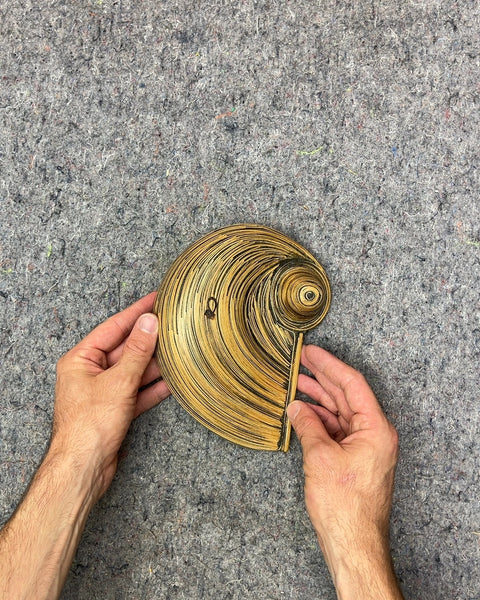 Spiral Wood Tray That Looks Like A Shell