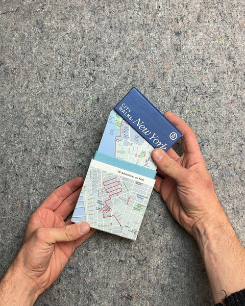 City Walks New York Guide Book