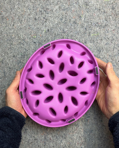 Cat Catch Feeder Bowl