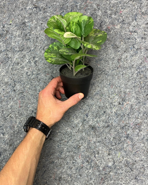 Small Faux Potted Plant