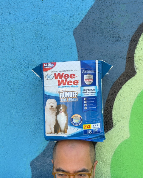 Four Paws Wee-Wee Superior Performance Gigantic Dog Pee Pads