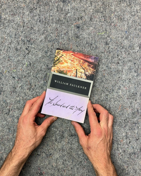 The Sound and the Fury by William Faulkner