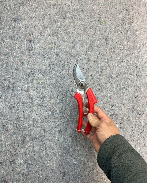 Good Gardening Pruning Shears with Red Handles