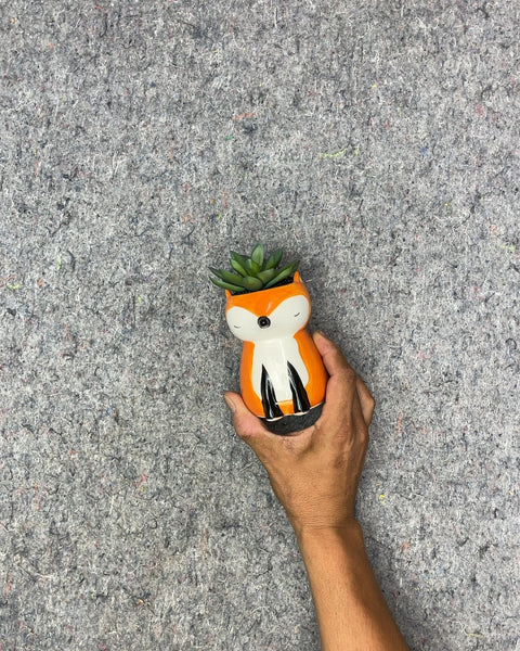 Orange Fox Planter with Faux Succulent