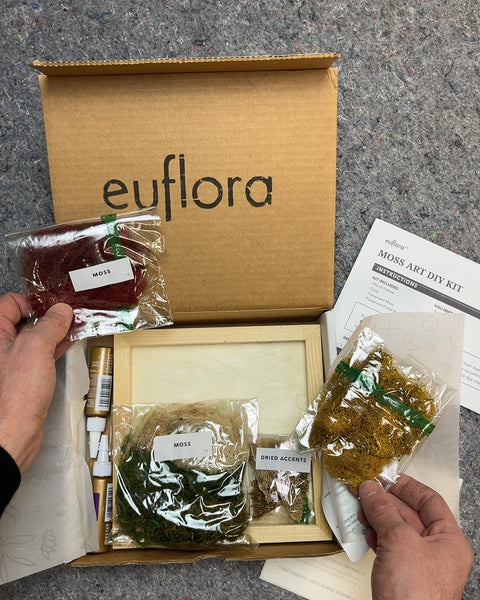 Euflora Moss Art DIY Kit