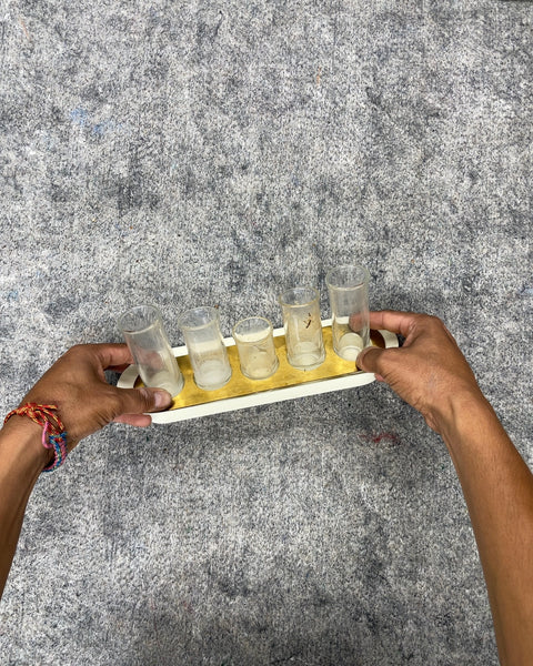 Graduated Glass Bud Tube Vases with Tray Stand