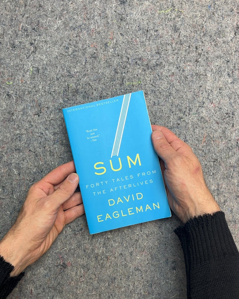 Sum: Forty Tales from the Afterlives by David Eagleman