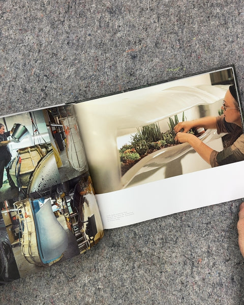 Paula Hayes Art Book
