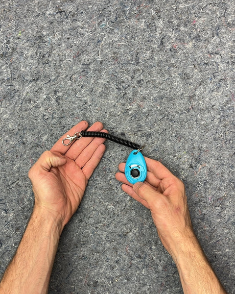Blue Pet Training Clicker with Coil Lanyard