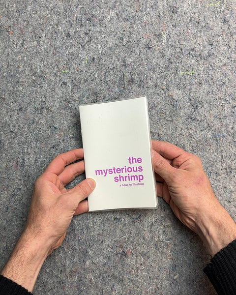 The Mysterious Shrimp: A Book to Illustrate