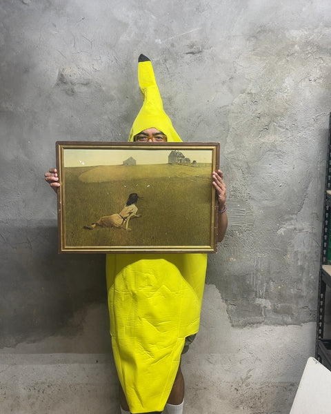 Print of Andrew Wyeth "Christina's World", 26x14"