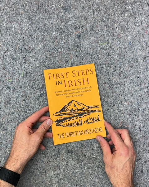 First Steps in Irish by The Christian Brothers