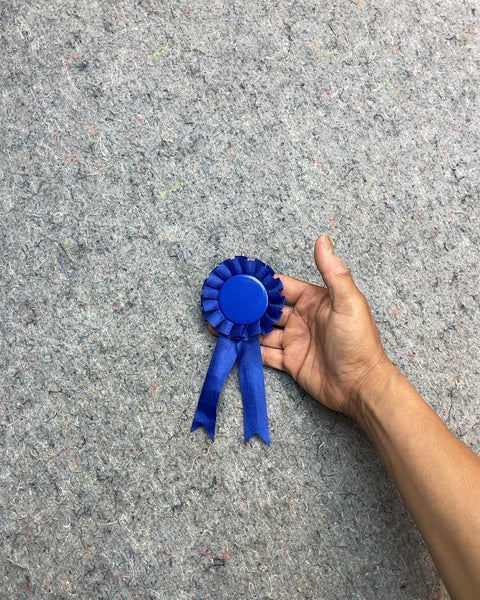 Blue Ribbon Rosette Award