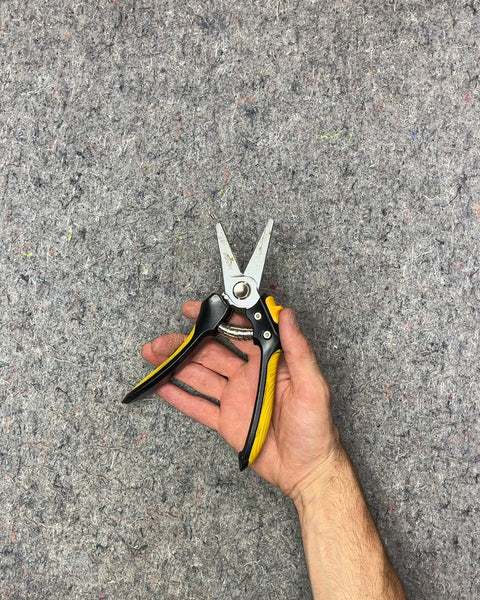 Yellow and Black Pruning Shears