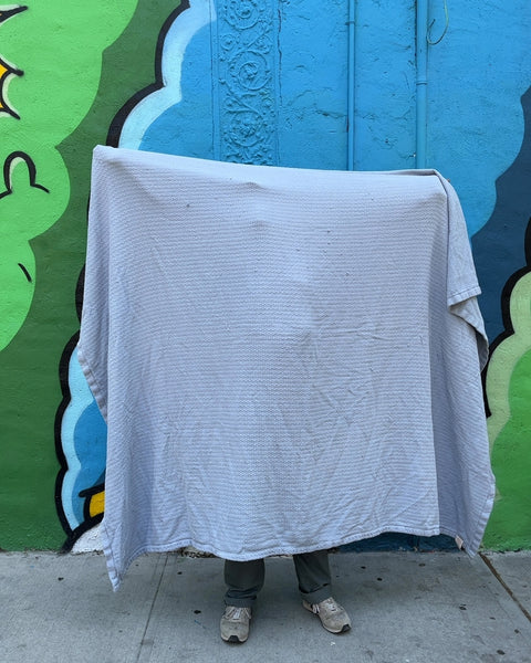 Bigass Lauren Ralph Lauren Cotton Blanket Which Will Work Nicely For The Beach, 60x80"