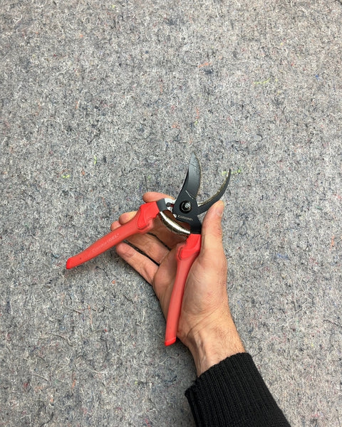 Corona Red Handle Pruning Shears