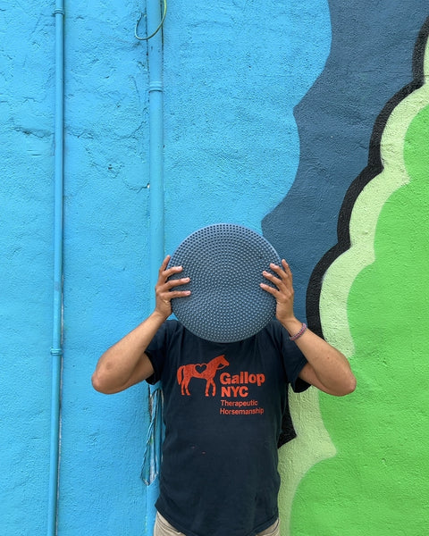Blue Balance Disc Cushion