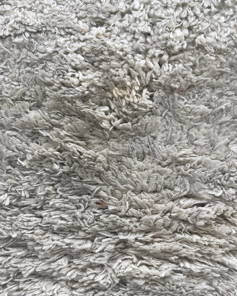 Lil' Shag Rug, 30x60"