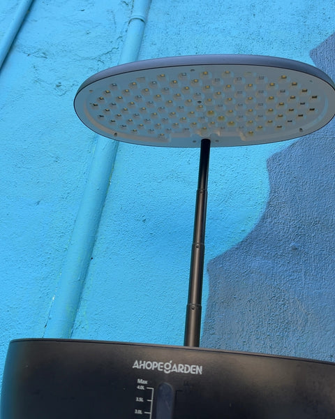 AHOPEGARDEN Indoor Hydroponic Garden System