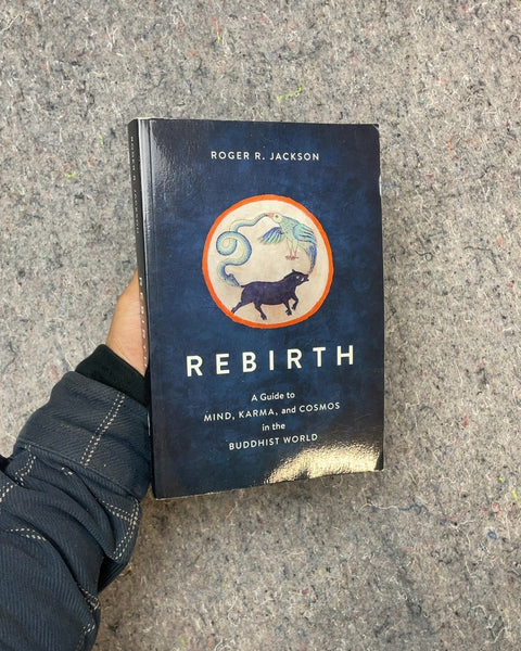 Rebirth: A Guide to Mind, Karma, and Cosmos by Roger R. Jackson