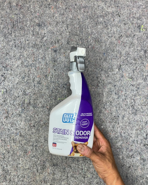 OUT! Pet Stain & Odor Remover