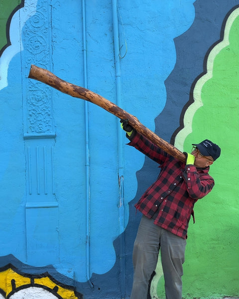 Didgeridoo Musical Instrument
