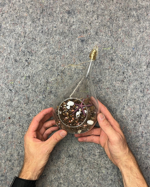 Glass Terrarium with Shells and Starfish