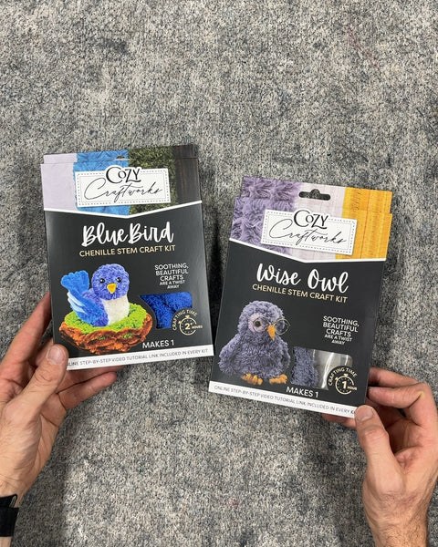 Cozy Craftworks Blue Bird and Wise Owl Chenille Stem Craft Kits