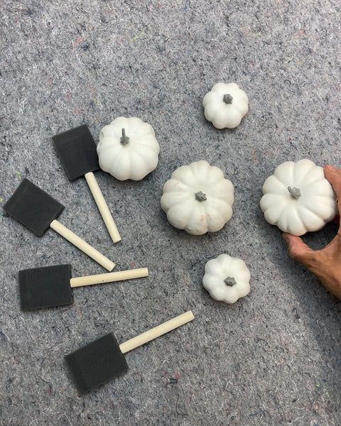 White Decorative Pumpkins with Foam Brushes