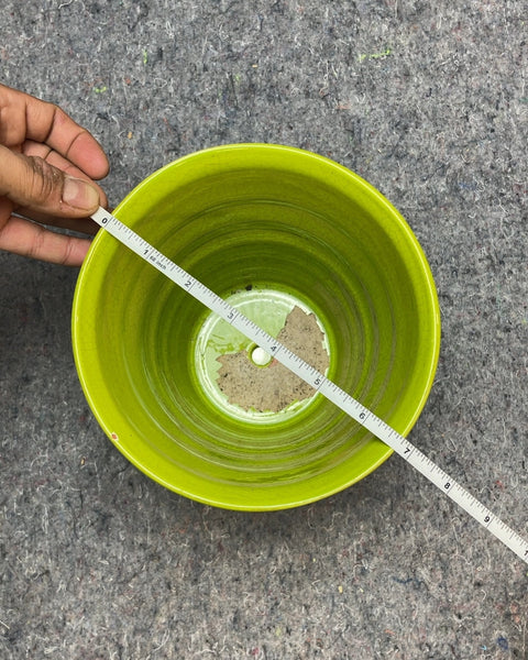 Bigass Brat Green Ceramic Planter, 7"