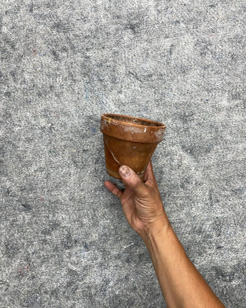 Small Terracotta Plant Pot, 4.5"