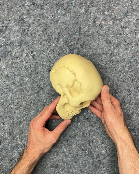 Decorative Skull Prop
