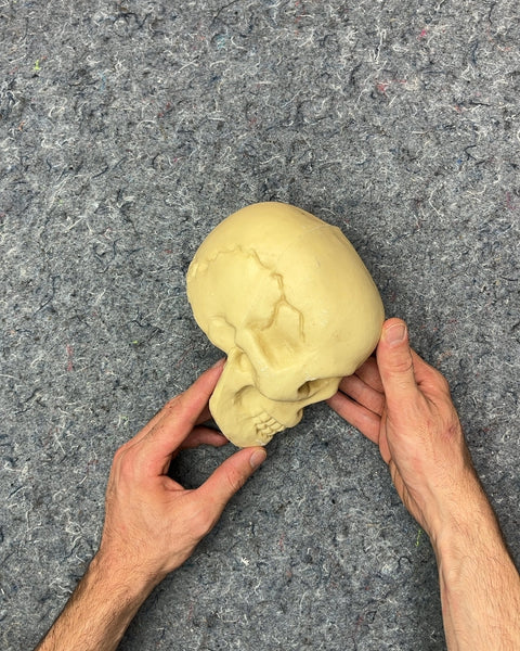 Decorative Skull Prop