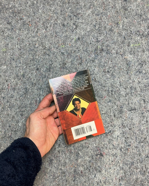 Wouldn't Take Nothing for My Journey Now by Maya Angelou