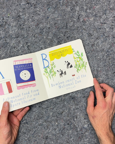 Washington, DC ABCs Board Book