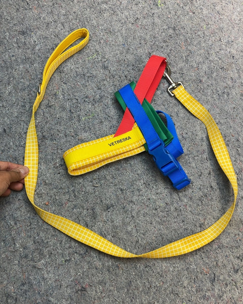 Vetreska Colorful Pet Harness and Leash Set