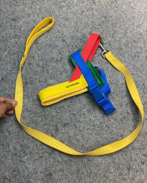 Vetreska Colorful Pet Harness and Leash Set