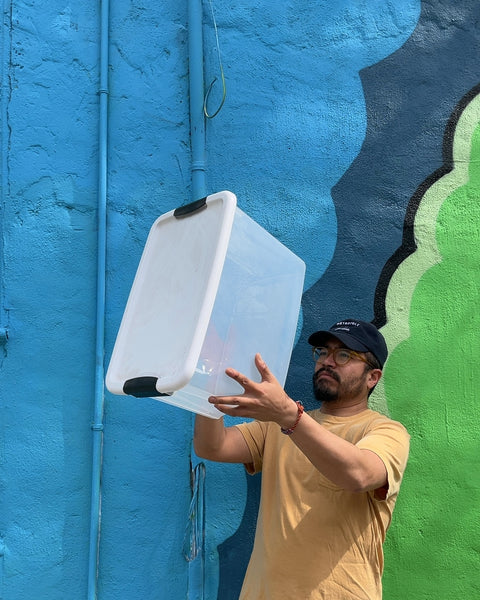 Larger Sterilite Storage Container with Lid